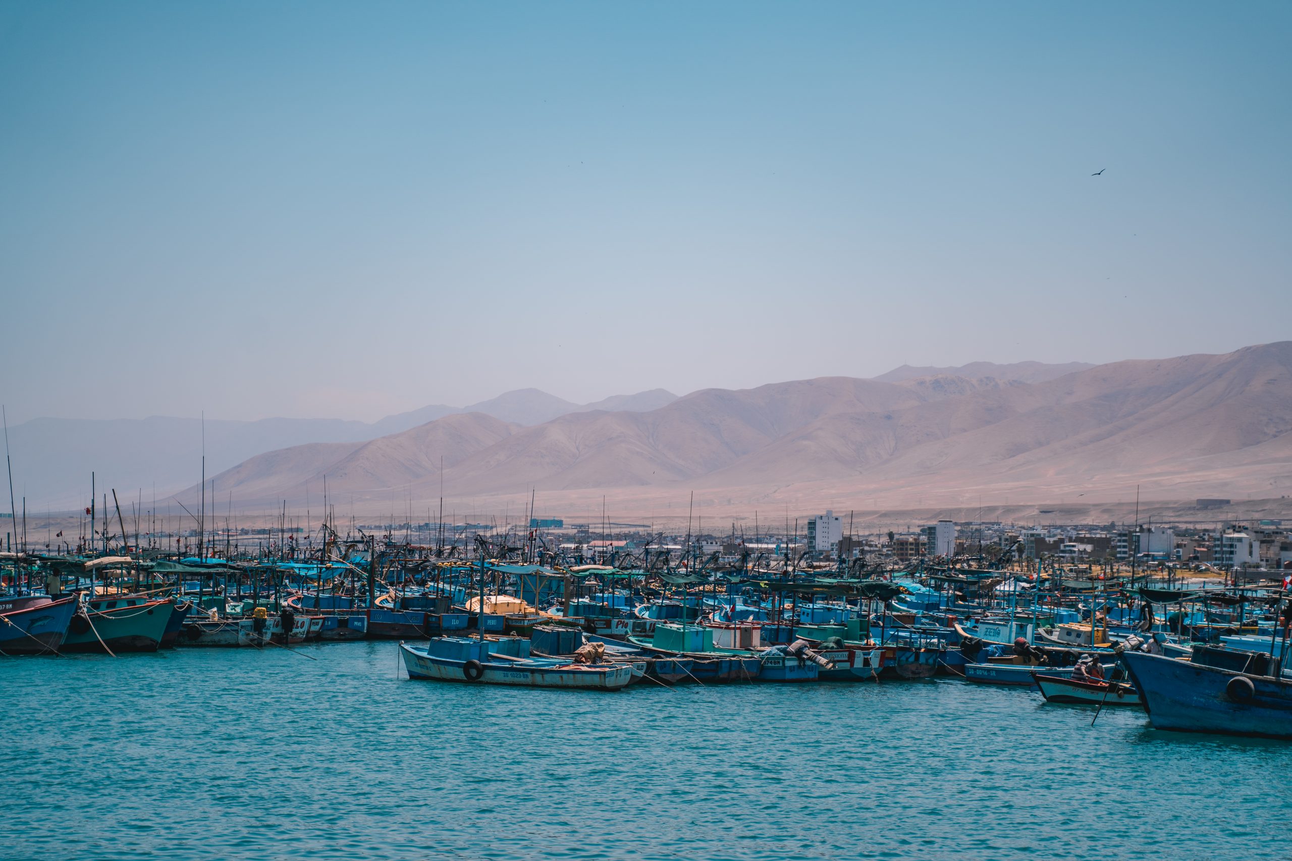 Unidos somos más fuertes y solidarios