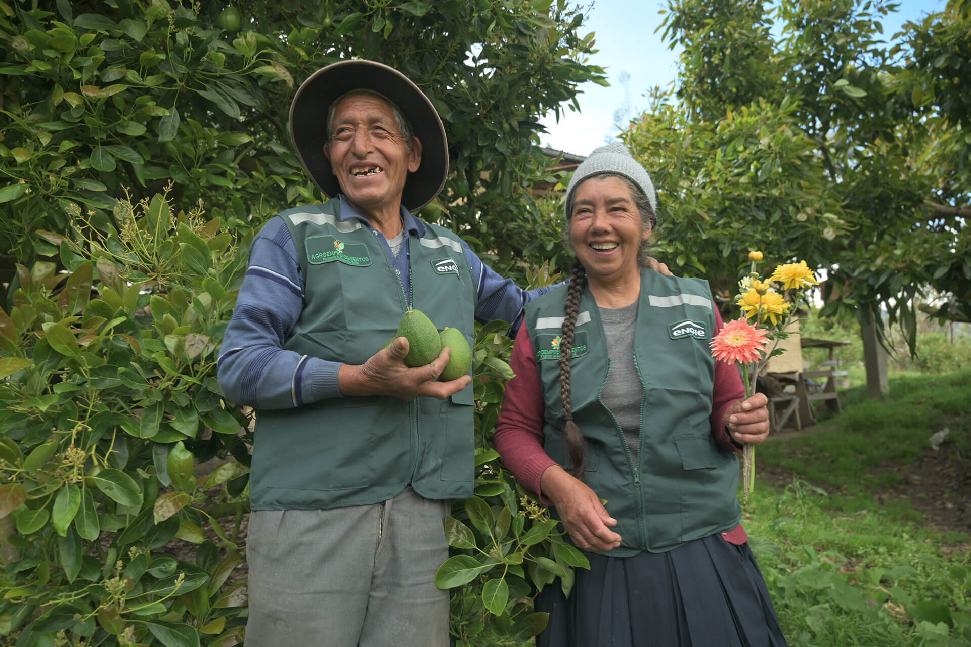 Agroemprendimientos: Programa de desarrollo productivo y encadenamiento comercial