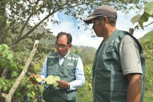 Desarrollo Productivo y Económico