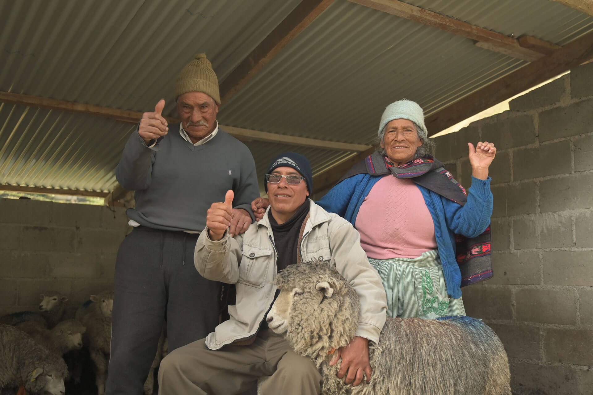 Proyecto Ganadero Yuncán